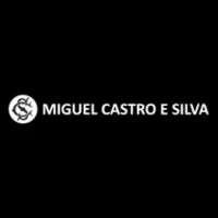 Miguel Castro Silva